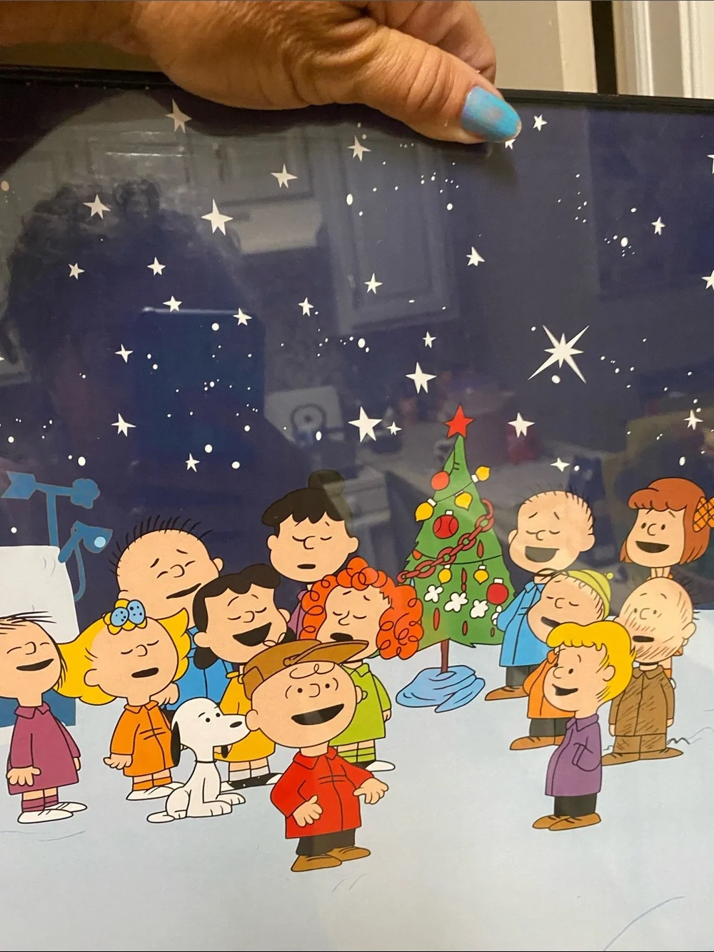 N/A festive peanuts